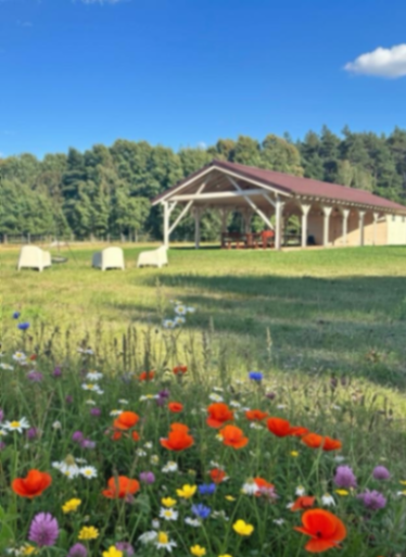 KLUB JEŹDZIECKI OLYMPIC SPIRIT – Łosiniec, woj. wielkopolskie – zdjęcie 3