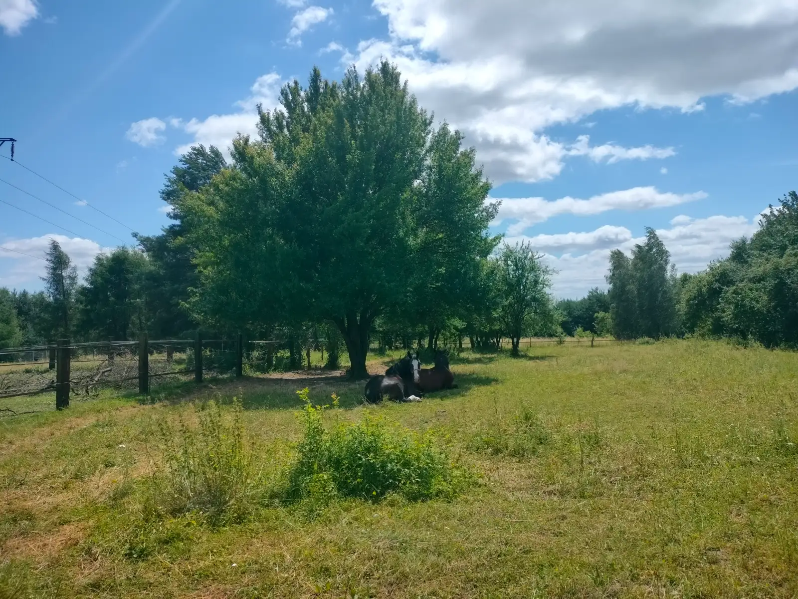 Stajnia u Zbyszka – Ryczówek, woj. małopolskie – zdjęcie 2
