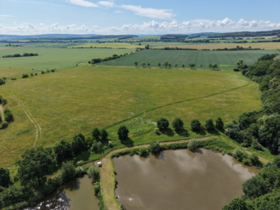 Cassidy Irish Cobs – Sieniawka, woj. dolnośląskie – zdjęcie 2